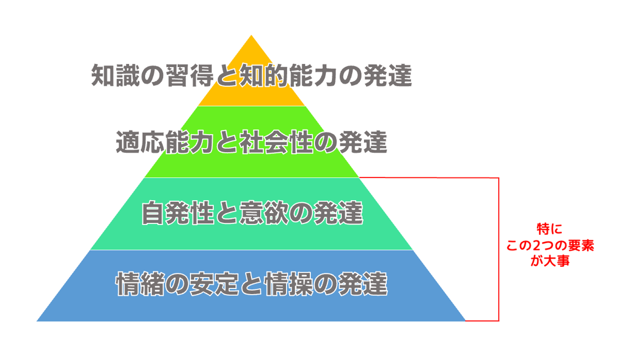 習慣づけ_2