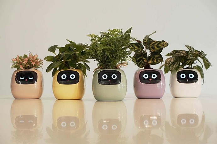 観葉植物の気持ちを表現するスマートプランター