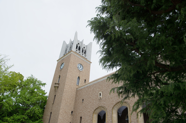Main Image