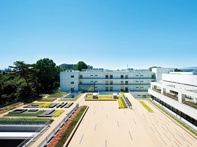 Main Image