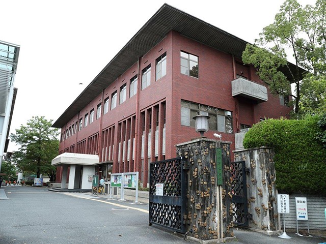 Main Image
