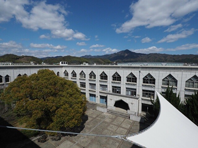 Main Image