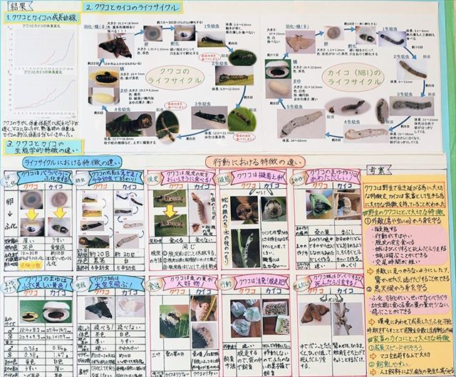 kou2