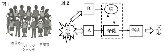 問題 理科 刺激と反応 腕試しforフィフティーン 朝日新聞edua 問題 理科 刺激と反応 腕試しforフィフティーン 朝日新聞edua