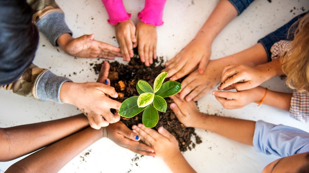 a5e8738b88de8fb617f078ce26326d