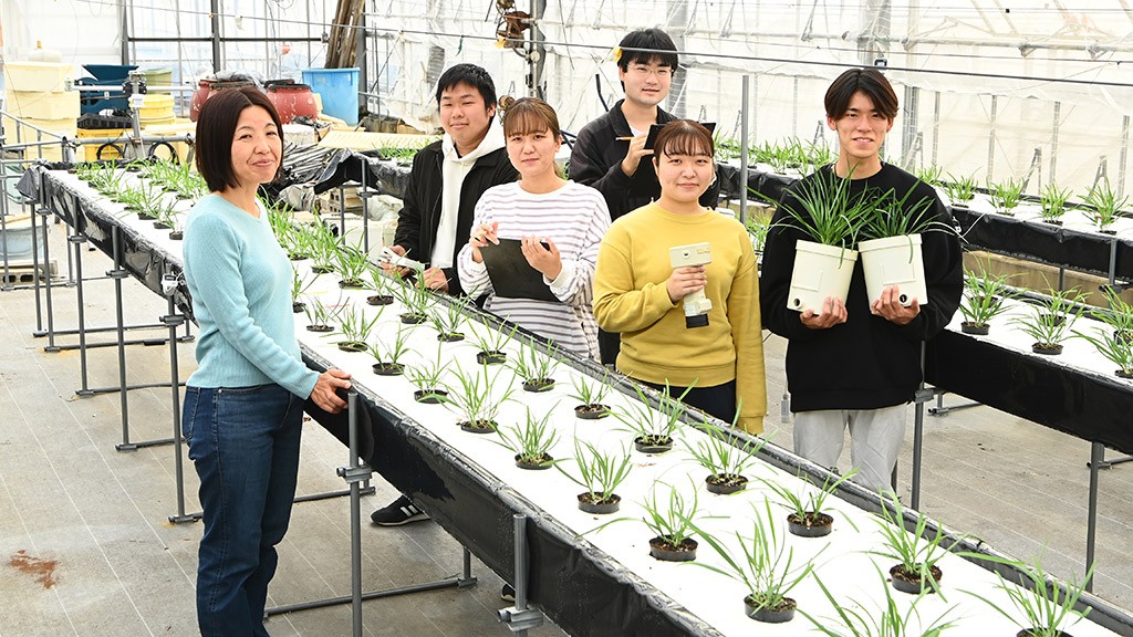 植物の力を引き出し、環境負荷の少ない農業を 高知大学蔬菜園芸研究室