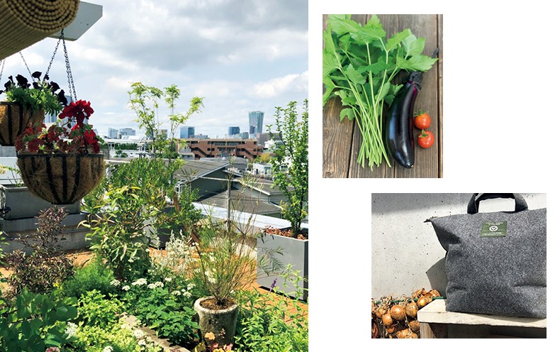 身近なところからsdgsを コンポスト のある生活を始めましょう Aging Gracefully わたしらしく輝く