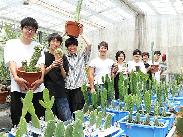 環境問題解決のカギは「サボテン」 中部大学堀部貴紀研究室|SDGs@大学