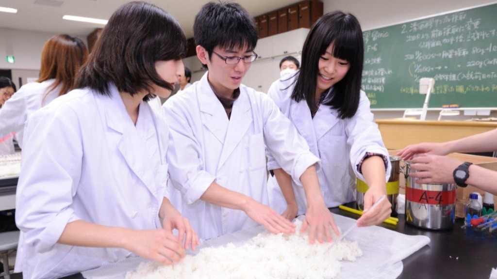 学内で酒造り 競って学ぶ発酵の奥深さ 東京農業大学 応用生物科学部 醸造科学科 Close Up 注目の学部 学科 朝日新聞edua