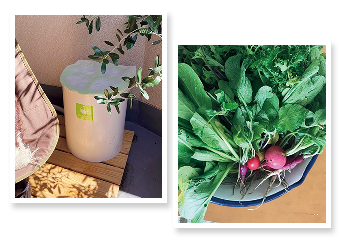 身近なところからsdgsを コンポスト のある生活を始めましょう Aging Gracefully わたしらしく輝く